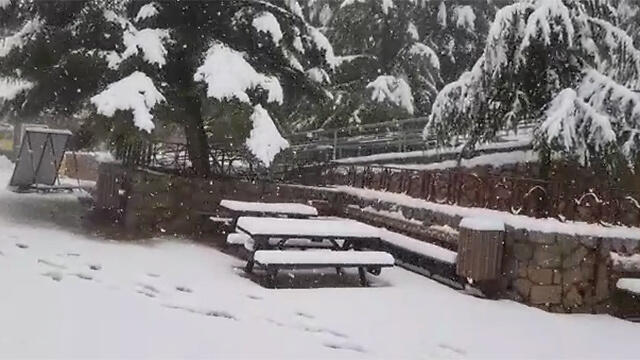 Хермон (צילום: אתר החרמון) Хермон