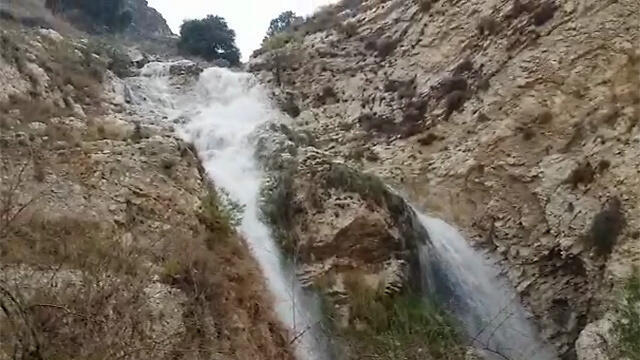 Фото: Ури Регев (צילום: אורי רגב, רשות ניקוז ונחלים קישון) Фото: Ури Регев