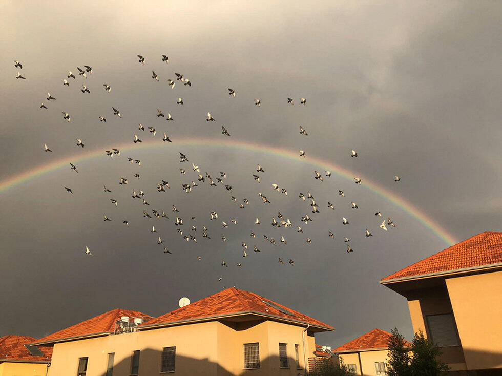Rainbow in Pardes Hanna-Karkur