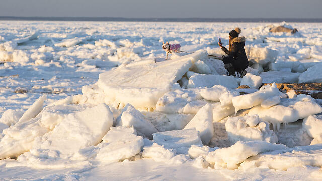 Фото: AFP (צילום: AFP) Фото: AFP