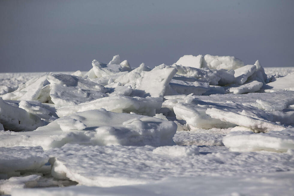 Фото: AFP (צילום: AFP) Фото: AFP