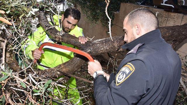 Фото: полиция (צילום: דוברות המשטרה) Фото: полиция