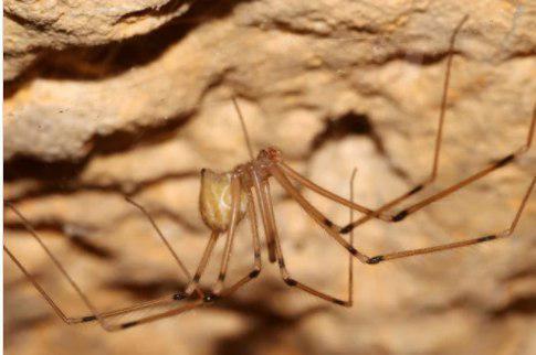 Фото: Шломи Аарон