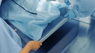 הגופה נמצאה חנוטה. הערכה: סופי מתה לפני שנים