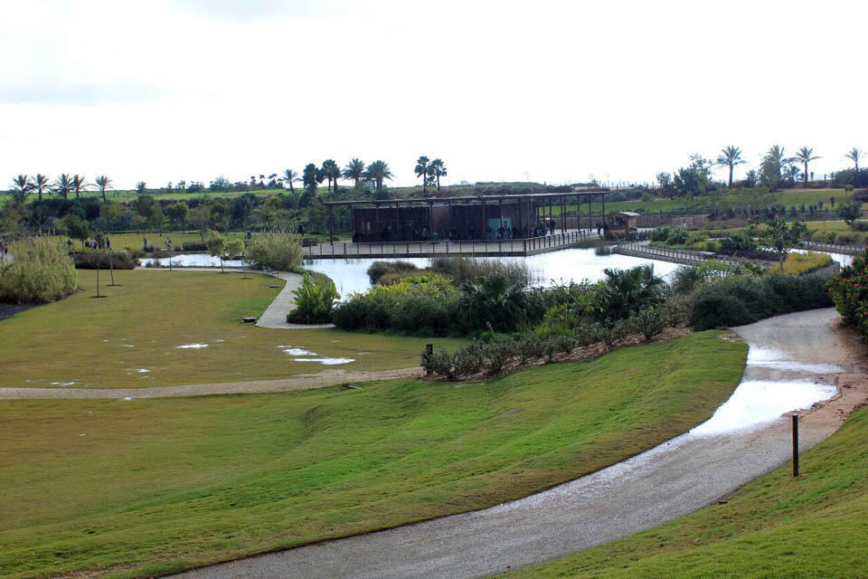 Пруд в парке имени Ариэля Шарона