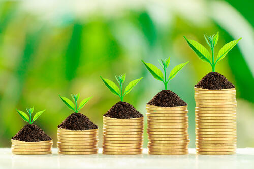 Иллюстрация: shutterstock