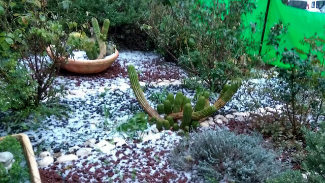 Град в округе Ха-Шарон