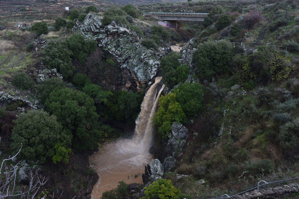 Фото: Явиягу Шапира