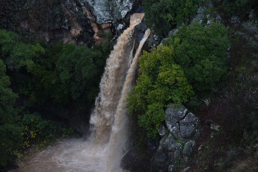 Nahal Sa'ar (צילום: אביהו שפירא) Nahal Sa'ar