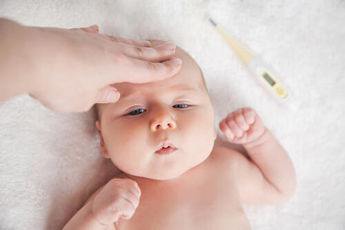 Фотоиллюстрация: shutterstock