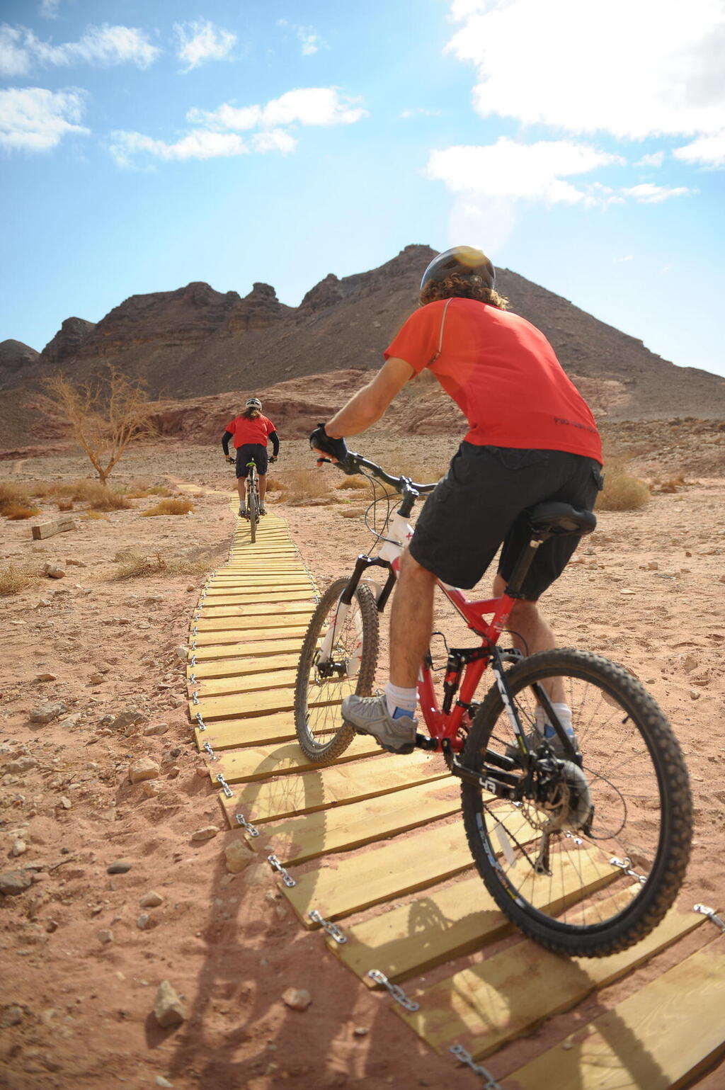 Велодорожка в парке Тимна. Фото: Эран Долев (צילום: ארן דולב ) Велодорожка в парке Тимна. Фото: Эран Долев