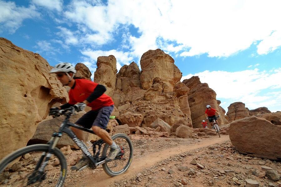 Велосипедный маршрут в парке Тимна. Фото: Эран Долев (צילום: ארן דולב ) Велосипедный маршрут в парке Тимна. Фото: Эран Долев