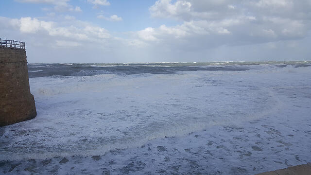 Фото: Рами Джарах (צילום: ד"ר ראמי ג'ראח ) Фото: Рами Джарах