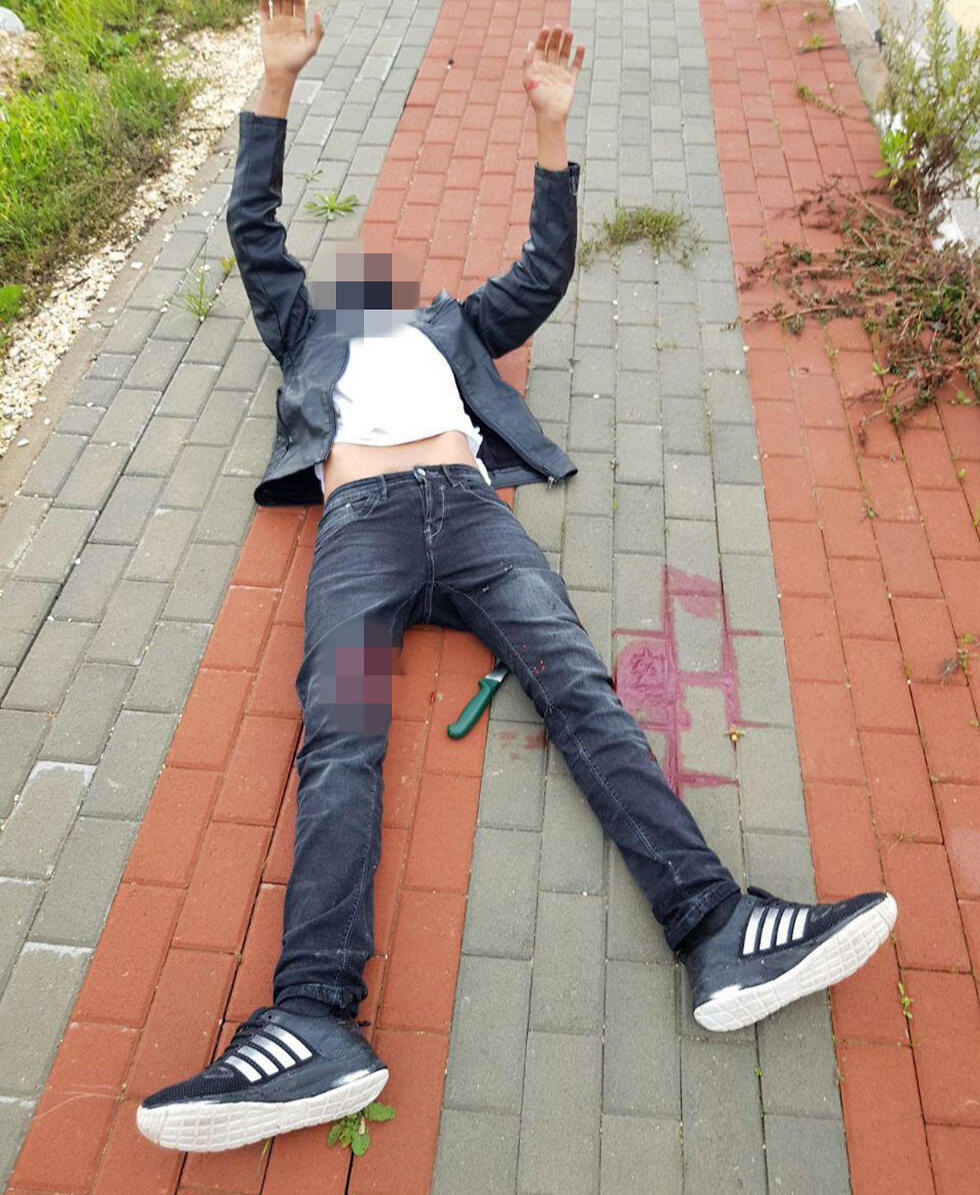 צילום: קרן פרלמן/TPS