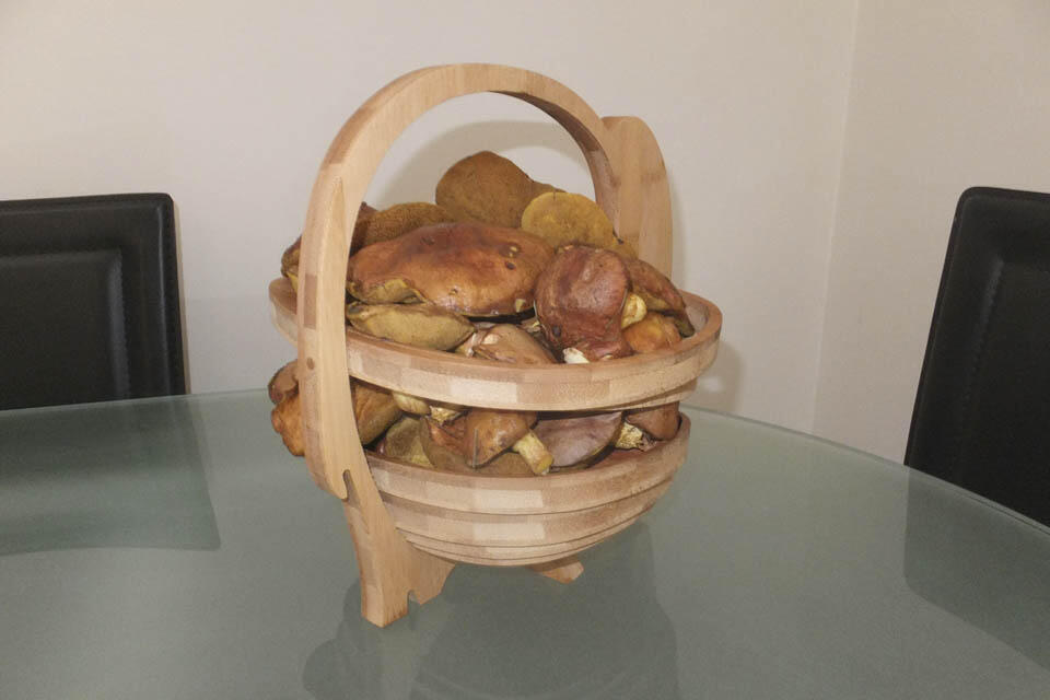 Собранные грибы сначала попозировали для "Вестей", а потом отправились в банки