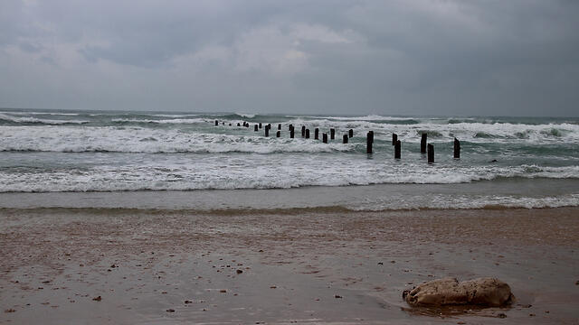 Тель-Янай, утро. Фото: Коби Садон (צילום: קובי סעדון) Тель-Янай, утро. Фото: Коби Садон