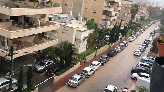 Ramat Gan (צילום: אמיר לוזון) Ramat Gan
