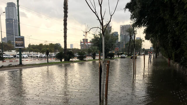 Tel Aviv (צילום: עדי שגיא) Tel Aviv