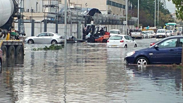 Ришон в воде. Фото: Юваль Ханинович (צילום: יובל חנינוביץ') Ришон в воде. Фото: Юваль Ханинович