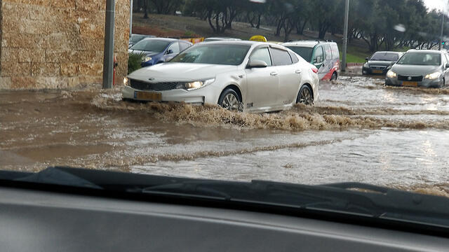 Фото: Амит Гринберг (צילום: עמית גרינברג) Фото: Амит Гринберг