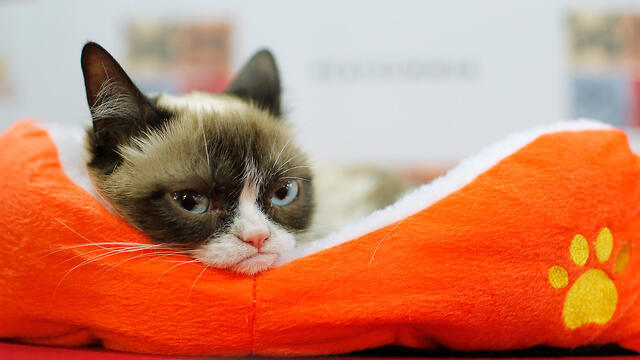 Фото: AFP