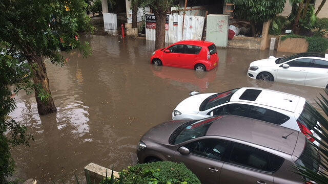 Улица Соколов в Тель-Авиве. Фото: Нофар Горовиц (צילום: נופר הורביץ זילצר) Улица Соколов в Тель-Авиве. Фото: Нофар Горовиц
