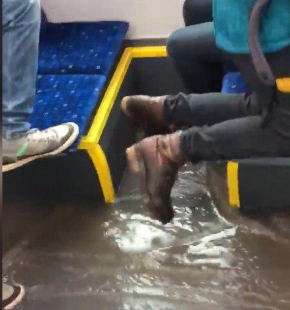 צילום: נדיה צלנוקוב