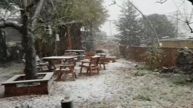 Снег на Голанах. Фото: Лилах Эстер