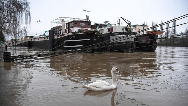 Наводнение в Париже. Фото: AFP