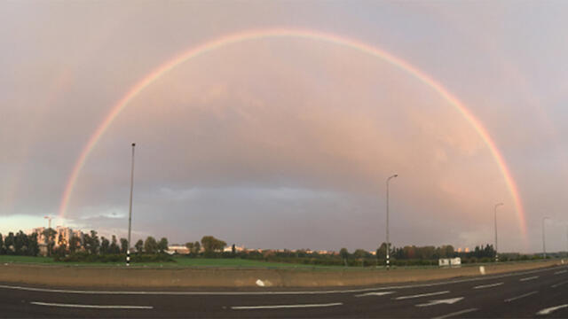 Фото: Барак Элькоби