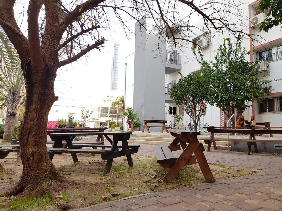 Школа "Тельма Елин". Фото: Амит Хубер