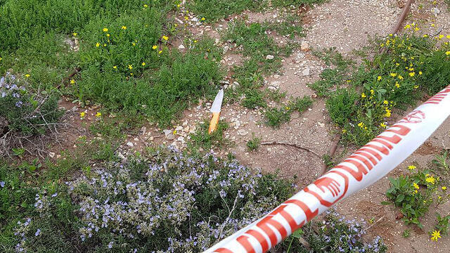 Нож, брошенный на месте убийства у въезда в Ариэль