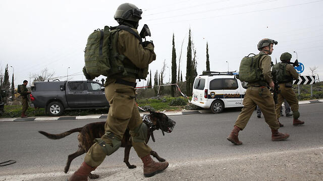 Фото: Гилель Меир, TPS