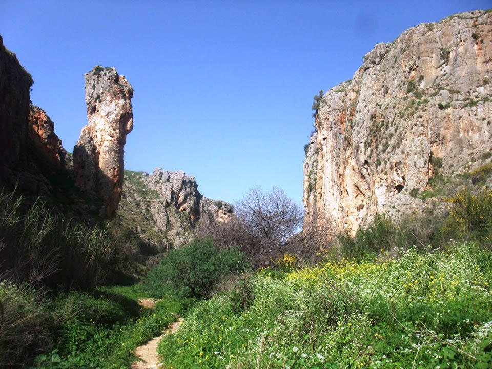 Скала Амуд (Фото: Леон Левитас) Скала Амуд