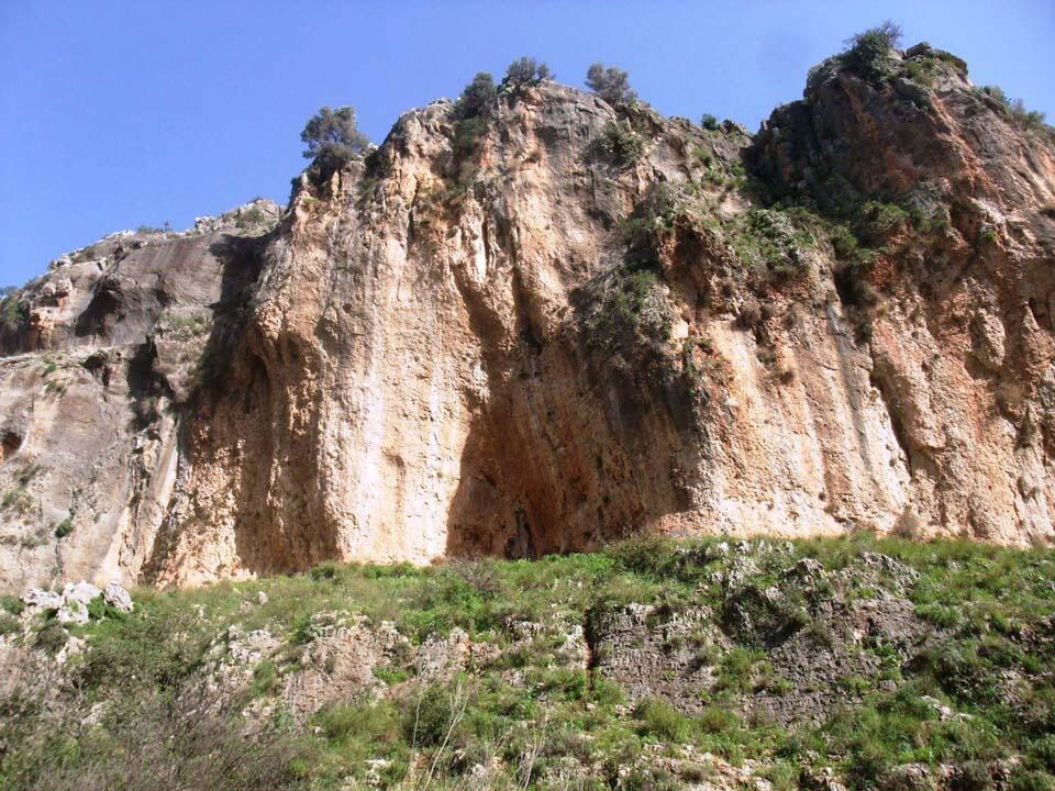 Фото: Леон Левитас