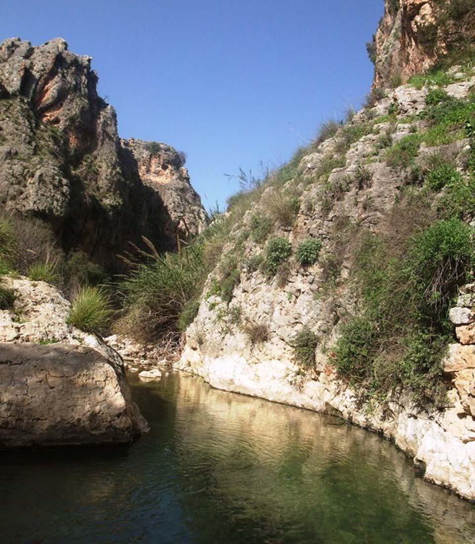 Фото: Леон Левитас