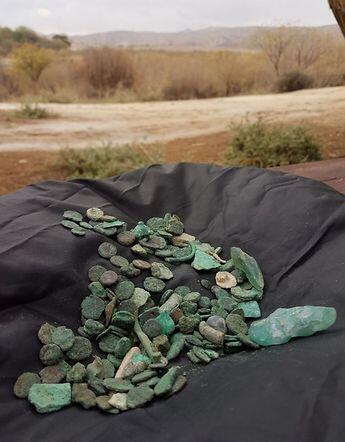 מטבעות עתיקים שודדי עתיקות אשדוד (צילום: גיא פיטוסי, רשות העתיקות) מטבעות עתיקים שודדי עתיקות אשדוד