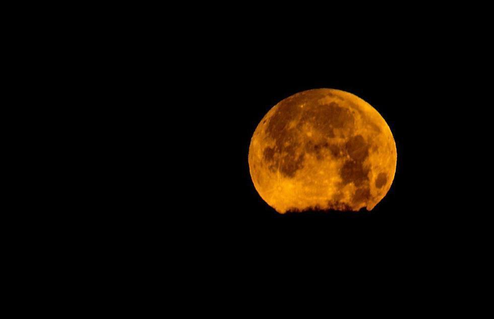 Фото: Яаков Ревиво