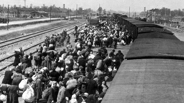 Jews in Auschwitz (צילום: AFP) Jews in Auschwitz