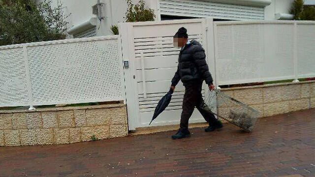 Подозреваемый в ловле чужих котовnullnull Подозреваемый в ловле чужих котов