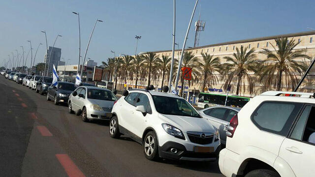 Фото: Рики Коэн (צילום: ריקי כהן) Фото: Рики Коэн