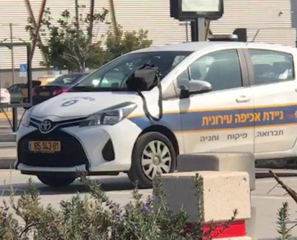 Фото: штаб движения "Вернем Ашдод ашдодцам" (צילום: "מחזירים את אשדוד לאשדודים") Фото: штаб движения "Вернем Ашдод ашдодцам"