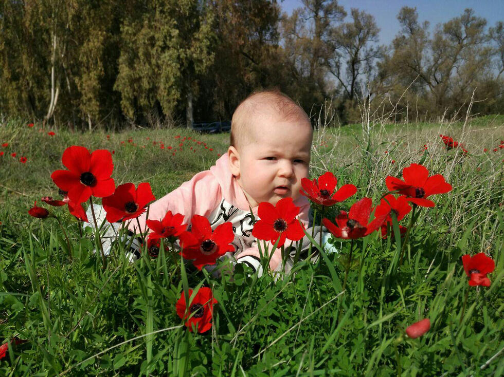 Фото пресс-служба фестиваля "Красный Юг"