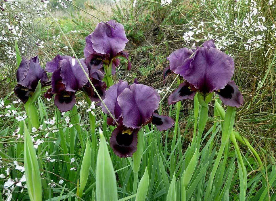 Фото: Леон Левитас