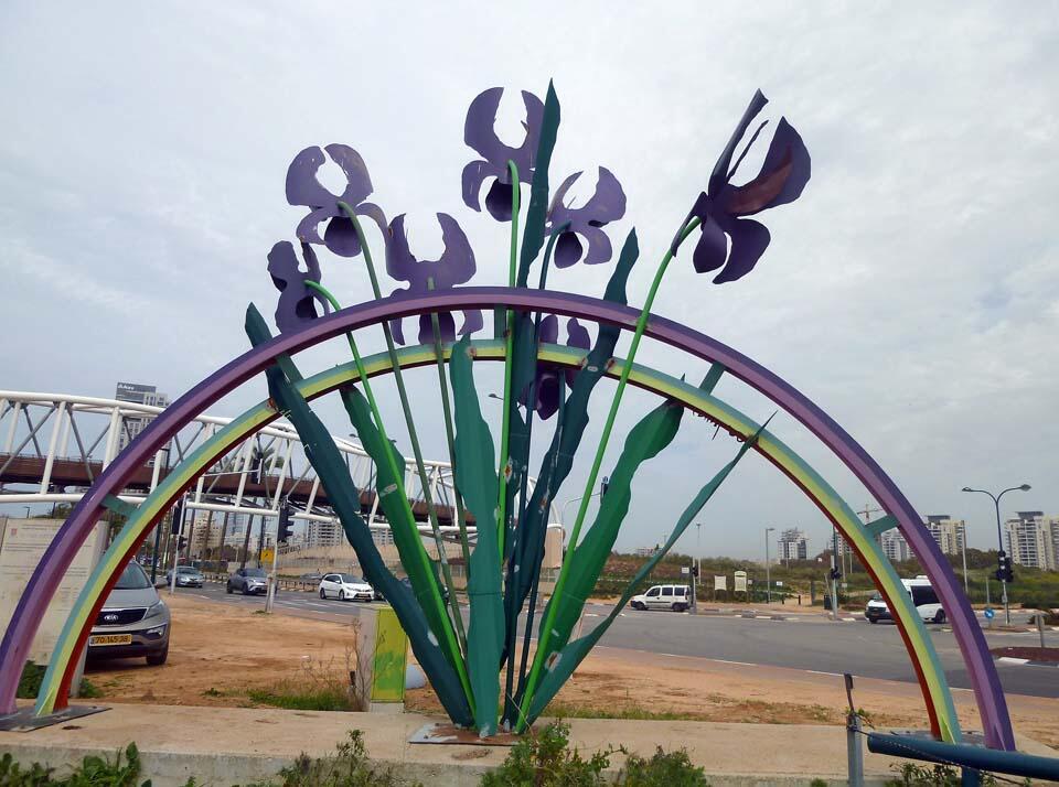 Заповедник пурпурных ирисов (Фото: Леон Левитас) Заповедник пурпурных ирисов