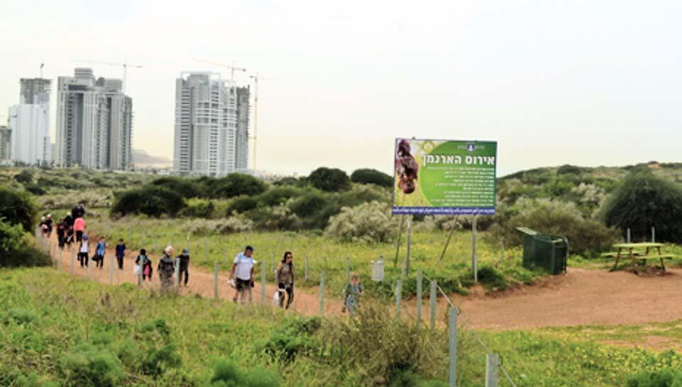 Фото: Леон Левитас