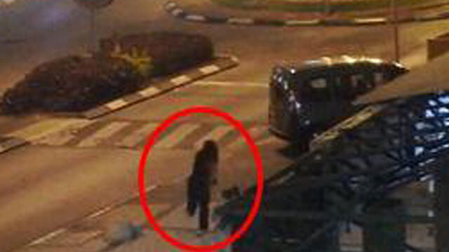 Выстрел. Фото: пресс-служба полиции (צילום: משטרת ישראל) Выстрел. Фото: пресс-служба полиции