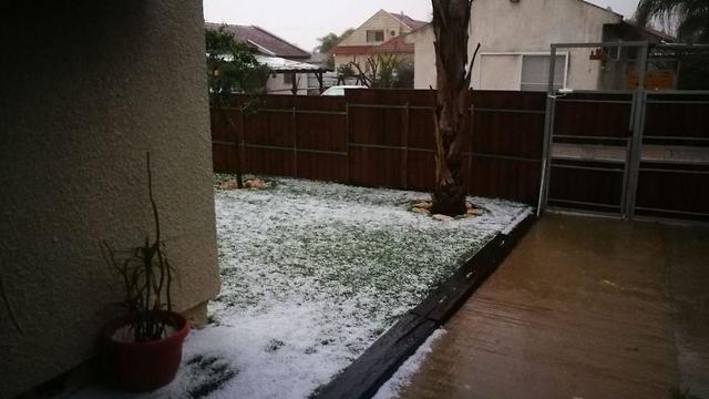 Фото: Йоав Дахан (צילום: יואב דהן) Фото: Йоав Дахан