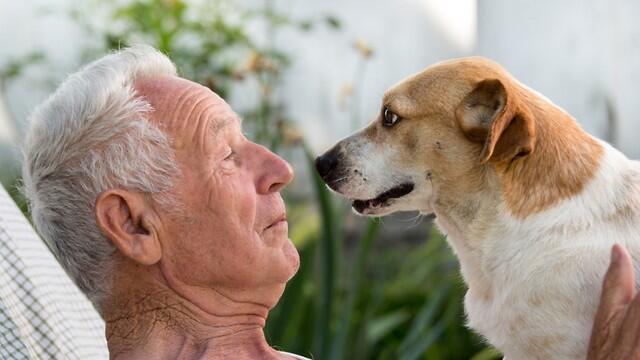 Иллюстрация: shutterstock (צילום: shuttertstock) Иллюстрация: shutterstock