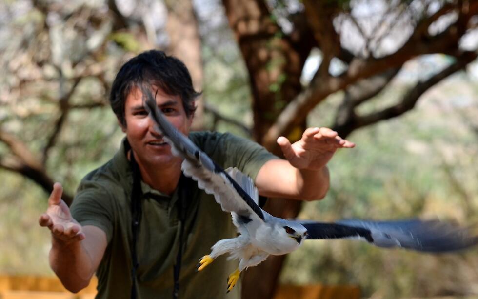 В орнитологическом парке Эйлата. Фото: Каролин Пуатевен